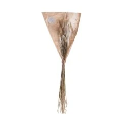 2x Trockenblumen Lagurusgras Länge 70cm FLOWER MARKET In Natur -Butlers butlers 2x trockenblumen lagurusgras lange 70cm flower market in natur 2