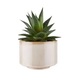 Butlers -Butlers butlers blumentopf o14cm fawn in beige 1