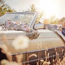 Picknickdecke L 175 X B 154cm BETWEEN FLOWERS In Dunkelblau -Butlers butlers picknickdecke l 175 x b 154cm between flowers in dunkelblau 9